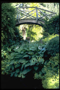 346072 Bridge And Vase Compton Acres, England A4 Photo Print