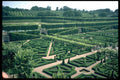 346079 Topiary From High Terrace Villandry, France A4 Photo Print