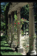 346092 Columns And Roses Parc Monceau, France A4 Photo Print