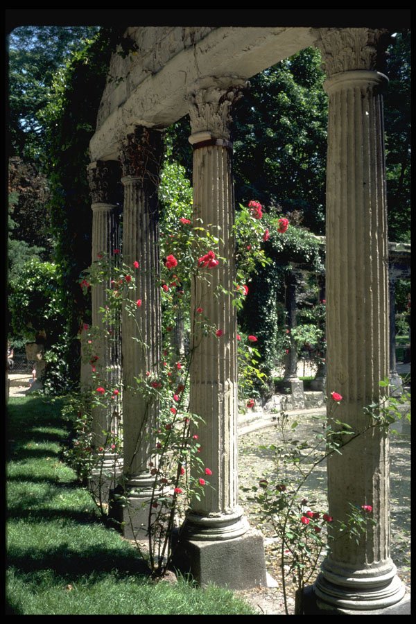 346092 Columns And Roses Parc Monceau, France A4 Photo Print