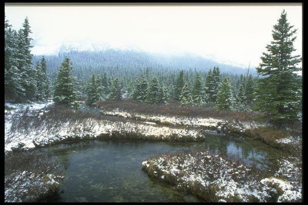 347001 Elbow Pass After An Early Snow, Rocky Mountains, Canada A4 Photo Print