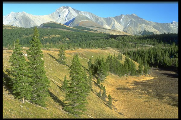347004 Sheep River Valley And Cougar Mountain, Rocky Mountains A4 Photo Print