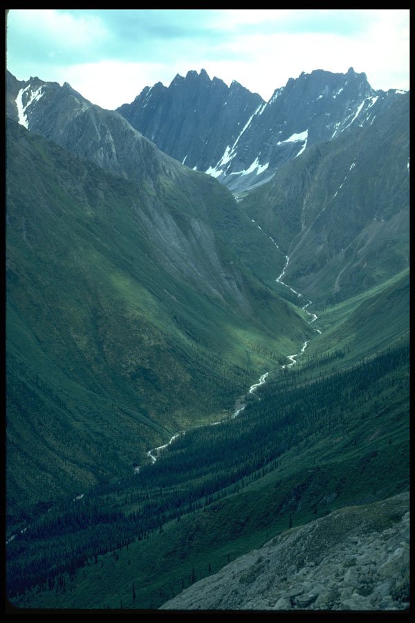 347005 Bologna Creek And The Ragged Range Mountains, Canada A4 Photo Print