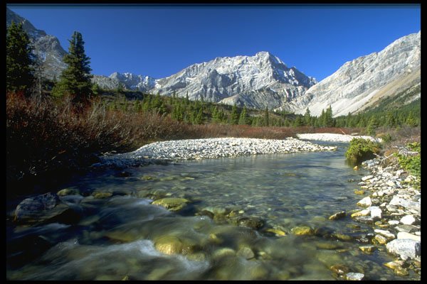 347007 Elbow River, Alberta, Canada A4 Photo Print