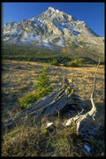 347009 Mount Rae, Alberta, Canada A4 Photo Print