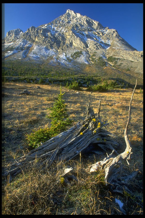 347009 Mount Rae, Alberta, Canada A4 Photo Print