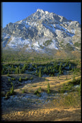 347015 Spruce Forest And Mount Rae, Alberta, Canada A4 Photo Print