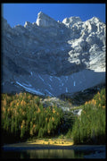347039 Spruce And Tamarack Forest Below Tombstone Mountain A4 Photo Print