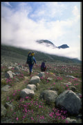 347058 Hikers In Auyuittuq National Park, NWT, Canada A4 Photo Print