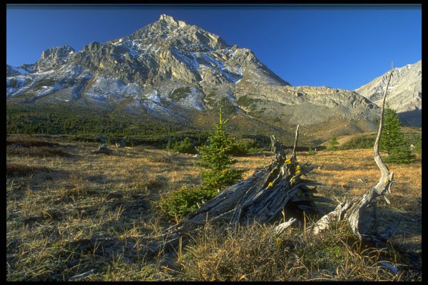 347065 Mount Rae, Alberta, Canada A4 Photo Print