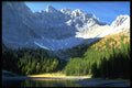 347081 Spruce And Tamarack Forest, Alberta, Canada A4 Photo Print