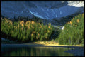 347087 Moose Drinking From An Unnamed Lake, Rocky Mountains A4 Photo Print