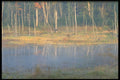 347088 Sunrise On A Misty Beaver Pond, Quebec, Canada A4 Photo Print