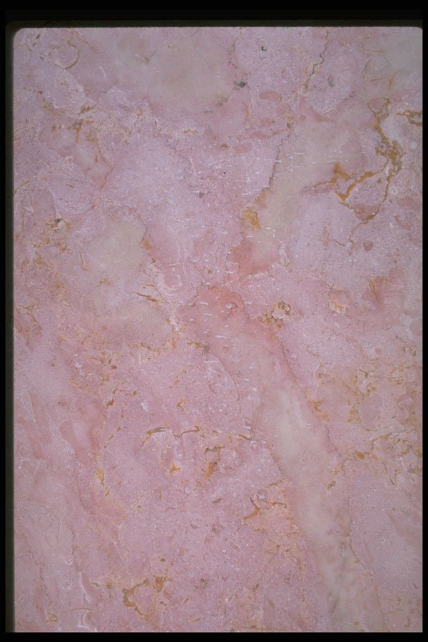 349002 Pink Ice A4 Photo Print