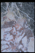 349004 Calico A4 Photo Print