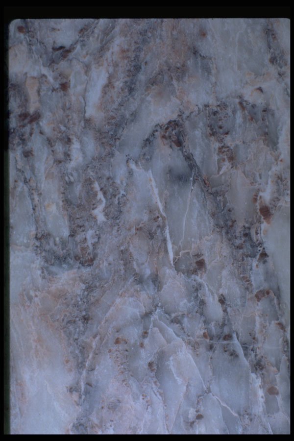 349008 Calico Ice A4 Photo Print