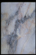 349010 Calico Ice II A4 Photo Print