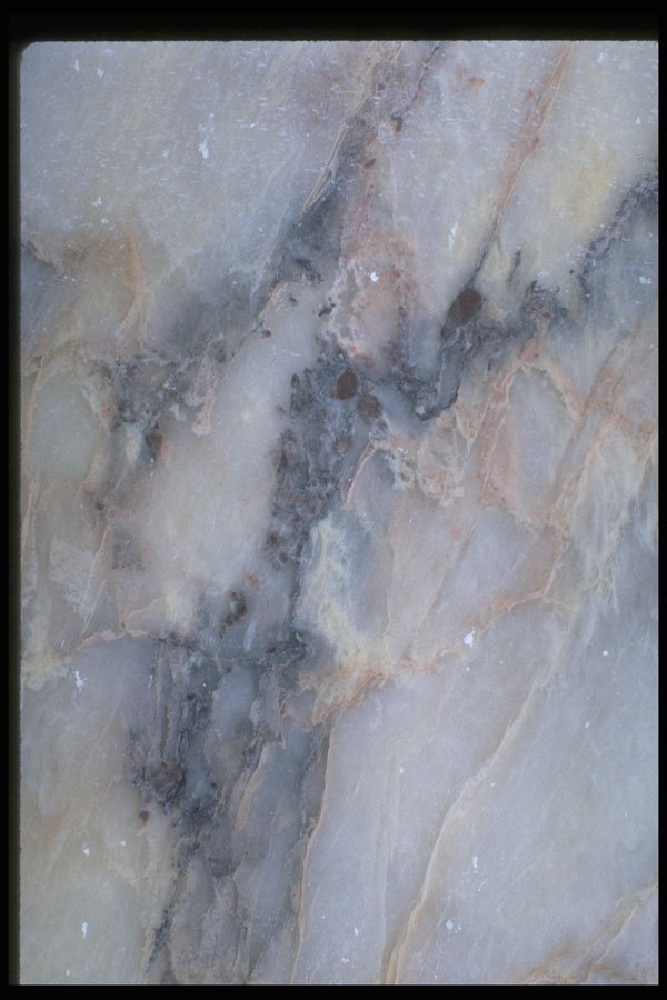 349010 Calico Ice II A4 Photo Print