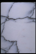 349011 Black Veins A4 Photo Print