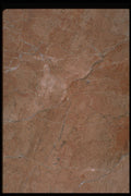 349013 Copper Tones A4 Photo Print