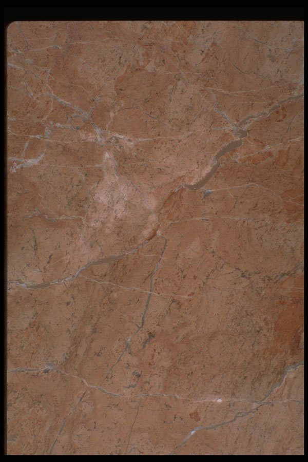349013 Copper Tones A4 Photo Print