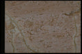 349025 Scattered Peach A4 Photo Print