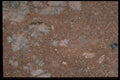 349028 Arterial Red A4 Photo Print