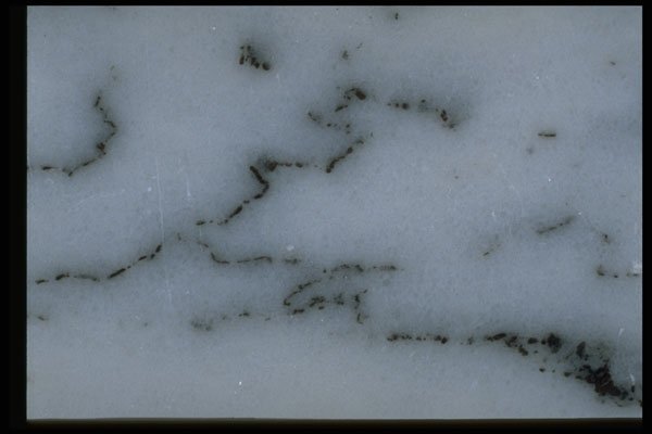 349030 Distinctive Ripple A4 Photo Print