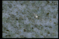 349043 Silver Highlights A4 Photo Print