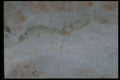 349044 Ghosted Crystals A4 Photo Print