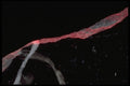 349048 Volcanic A4 Photo Print