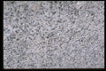 349055 Salt 'n Pepper A4 Photo Print
