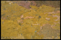 349057 Ochre A4 Photo Print