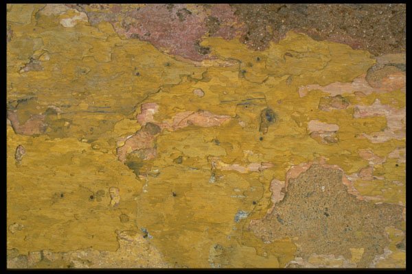 349057 Ochre A4 Photo Print