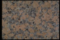 349063 Corel Lobby A4 Photo Print