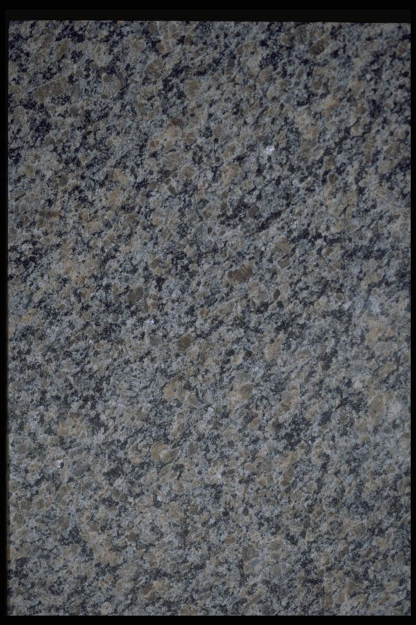349064 Military Gray A4 Photo Print