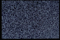 349070 Underfoot A4 Photo Print