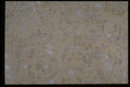 349071 Fossils A4 Photo Print