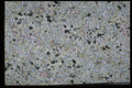 349073 Speckled A4 Photo Print