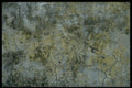 349088 Moss A4 Photo Print