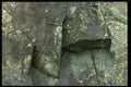 349093 Moss On Granite A4 Photo Print