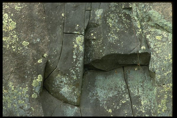 349093 Moss On Granite A4 Photo Print