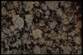 349094 Fossils A4 Photo Print