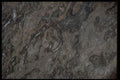 349095 Trilobyte A4 Photo Print