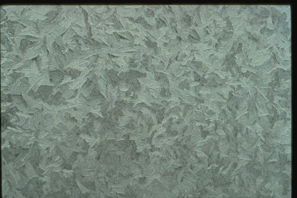 350011 Silver Frozen Leaves Texture A4 Photo Print