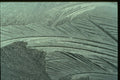 350018 Close up Of Fossil Feather A4 Photo Print