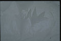 350021 Soft Gray Blue Flower A4 Photo Print