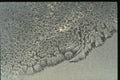 350042 Shoreline Of Cells A4 Photo Print