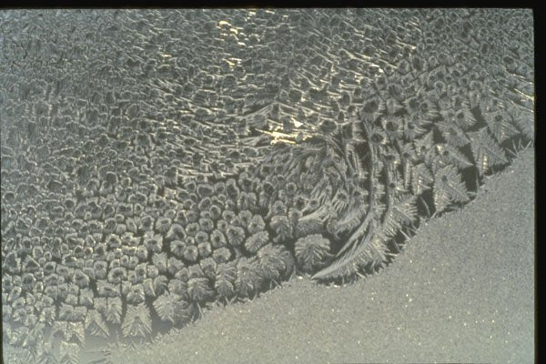 350042 Shoreline Of Cells A4 Photo Print