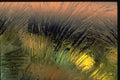 350046 Twilight And Neon A4 Photo Print